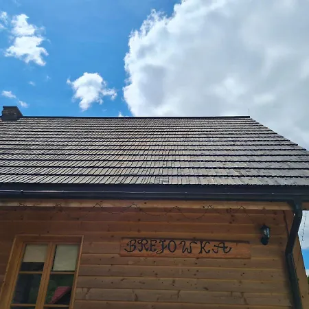 Проживание в семье Brejowka